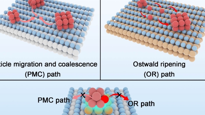 中國科學家在抗燒結催化劑研究中取得新進展