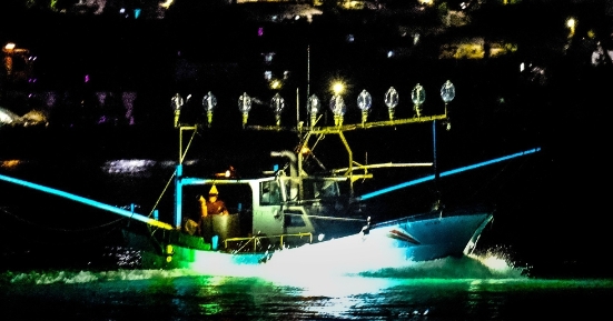 中國加入聯合國協定 打擊非法捕撈