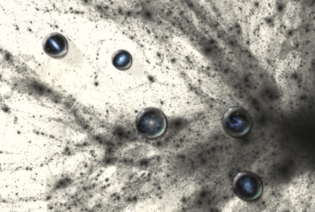 中國科學家為理解星系暗物質本質提供新線索