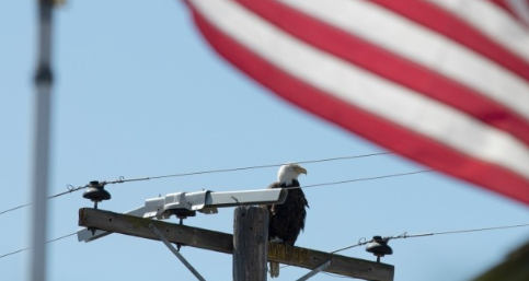 美國被曝將在澳大利亞部署4艘核潛艇